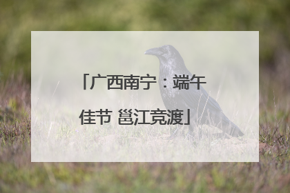 广西南宁：端午佳节 邕江竞渡