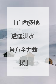 广西多地遭遇洪水 各方全力救援