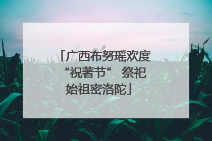 广西布努瑶欢度“祝著节” 祭祀始祖密洛陀