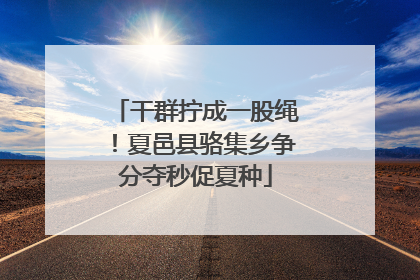 干群拧成一股绳！夏邑县骆集乡争分夺秒促夏种