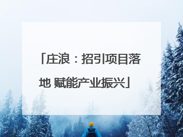 庄浪：招引项目落地 赋能产业振兴