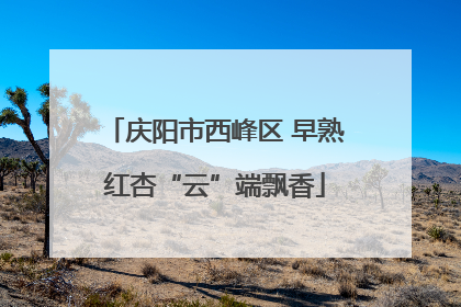庆阳市西峰区 早熟红杏“云”端飘香