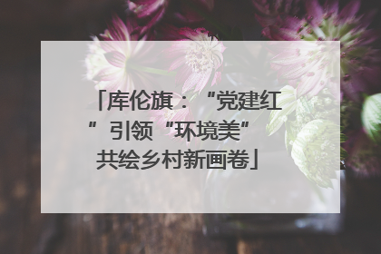 库伦旗：“党建红”引领“环境美” 共绘乡村新画卷