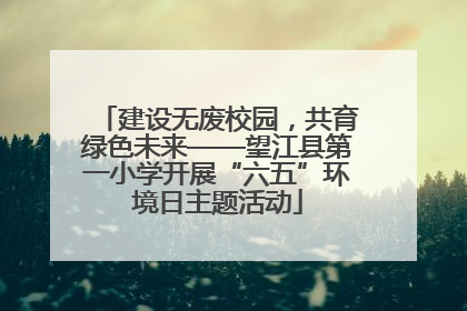建设无废校园，共育绿色未来——望江县第一小学开展“六五”环境日主题活动