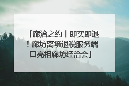 廊洽之约丨即买即退！廊坊离境退税服务端口亮相廊坊经洽会