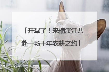 开犁了！来楠溪江共赴一场千年农耕之约