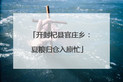 开封杞县官庄乡：夏粮归仓入廪忙