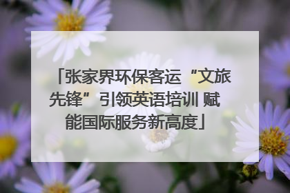 张家界环保客运“文旅先锋”引领英语培训 赋能国际服务新高度