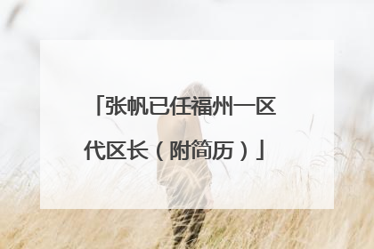 张帆已任福州一区代区长（附简历）