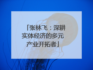张林飞：深耕实体经济的多元产业开拓者