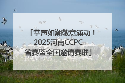 掌声如潮敬意涌动！2025河南CCPC省赛暨全国邀请赛璀