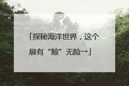 探秘海洋世界，这个展有“鲸”无险→