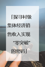 探寻村级集体经济销售收入实现“零突破”的密码