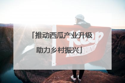 推动西瓜产业升级 助力乡村振兴