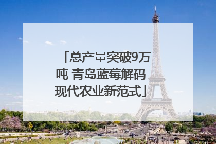 总产量突破9万吨 青岛蓝莓解码现代农业新范式