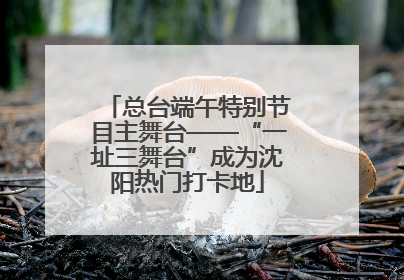 总台端午特别节目主舞台——“一址三舞台”成为沈阳热门打卡地