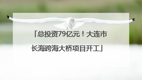 总投资79亿元！大连市长海跨海大桥项目开工