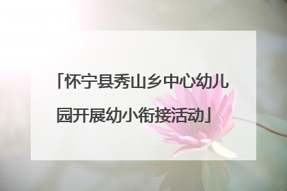 怀宁县秀山乡中心幼儿园开展幼小衔接活动