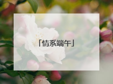情系端午