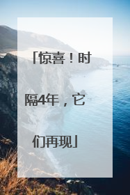 惊喜！时隔4年，它们再现