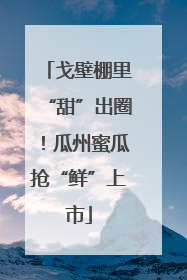 戈壁棚里“甜”出圈！瓜州蜜瓜抢“鲜”上市