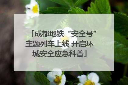 成都地铁“安全号”主题列车上线 开启环城安全应急科普