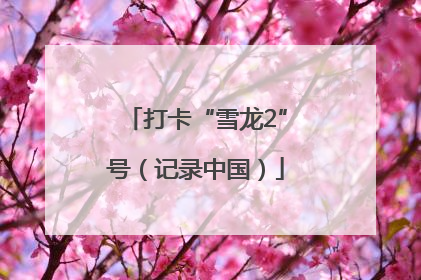 打卡“雪龙2”号（记录中国）