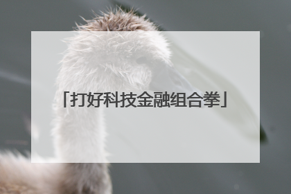 打好科技金融组合拳