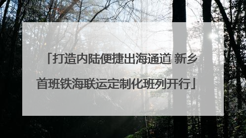 打造内陆便捷出海通道 新乡首班铁海联运定制化班列开行