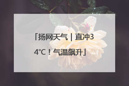 扬网天气｜直冲34℃！气温飙升