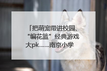 把萌宠带进校园、“编花篮”经典游戏大pk……南京小学花式“庆六一”