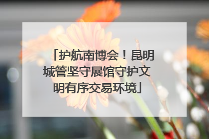 护航南博会！昆明城管坚守展馆守护文明有序交易环境