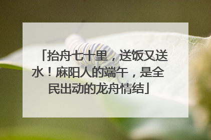 抬舟七十里，送饭又送水！麻阳人的端午，是全民出动的龙舟情结