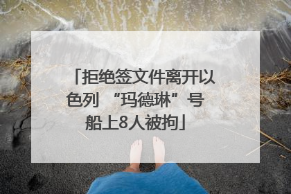 拒绝签文件离开以色列 “玛德琳”号船上8人被拘