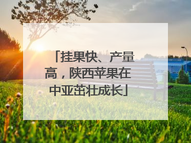 挂果快、产量高，陕西苹果在中亚茁壮成长
