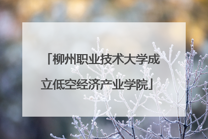 柳州职业技术大学成立低空经济产业学院