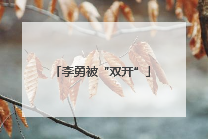 李勇被“双开”