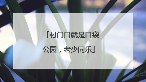 村门口就是口袋公园，老少同乐