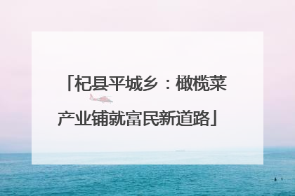 杞县平城乡：橄榄菜产业铺就富民新道路