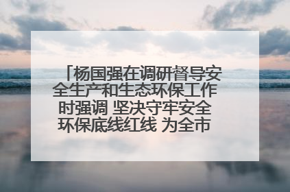杨国强在调研督导安全生产和生态环保工作时强调 坚决守牢安全环保底线红线 为全市经济社会高质量发展提供坚强保障