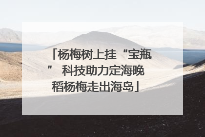 杨梅树上挂“宝瓶” 科技助力定海晚稻杨梅走出海岛