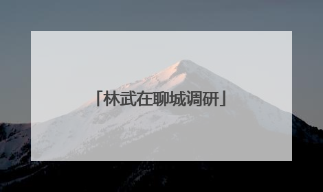 林武在聊城调研