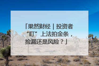 果然财经｜投资者“盯”上法拍金条，捡漏还是风险？