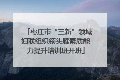 枣庄市“三新”领域妇联组织领头雁素质能力提升培训班开班