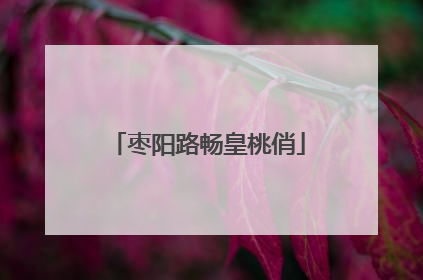 枣阳路畅皇桃俏