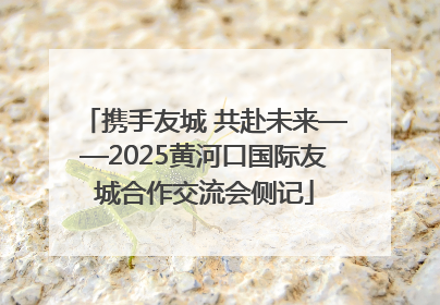 携手友城 共赴未来——2025黄河口国际友城合作交流会侧记