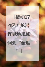 撬动174亿！龙岩连城地瓜如何变“金瓜”