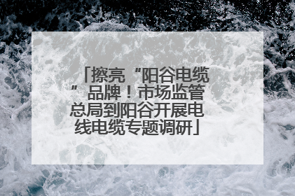 擦亮“阳谷电缆”品牌！市场监管总局到阳谷开展电线电缆专题调研
