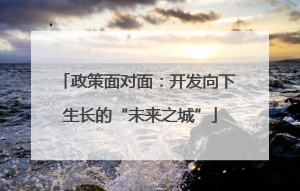 政策面对面：开发向下生长的“未来之城”