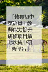 攸县初中英语骨干教师能力提升研修项目第七次集中研修举行